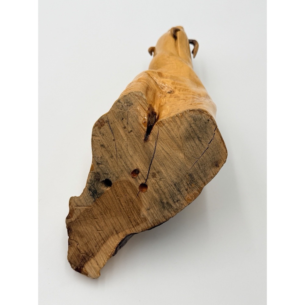 Hand Carved Wood Pig Boar Planter Holder Catchall Bowl Bizarre Folk Art WIERD - Picture 13 of 13